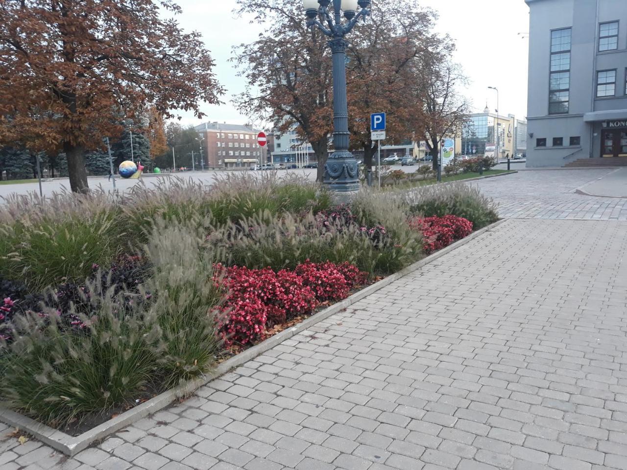 Town Center Studio Apartment Daugavpils Extérieur photo